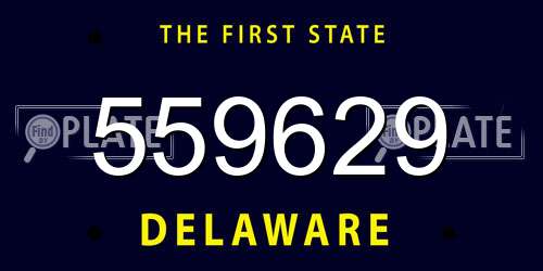 559629 Delaware License Plate