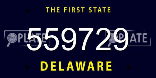 559729 Delaware License Plate