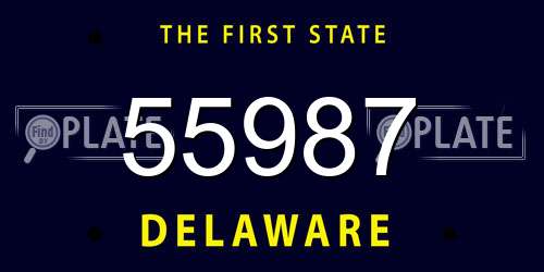 55987 Delaware License Plate