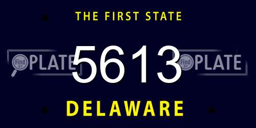 5613 Delaware License Plate