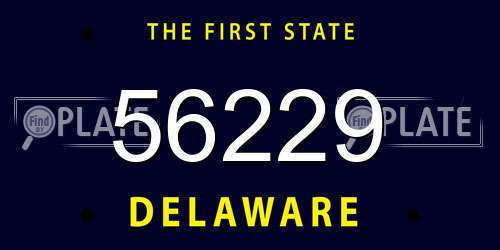 56229 Delaware License Plate