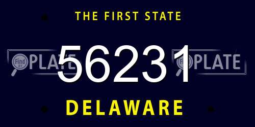 56231 Delaware License Plate