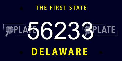 56233 Delaware License Plate