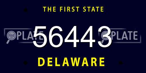 56443 Delaware License Plate