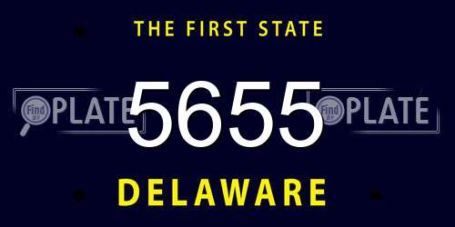 5655 Delaware License Plate