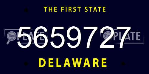 5659727 Delaware License Plate