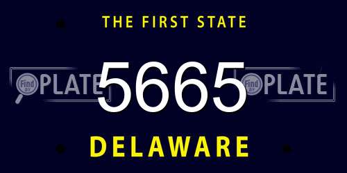 5665 Delaware License Plate
