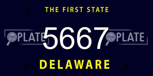 5667 Delaware License Plate