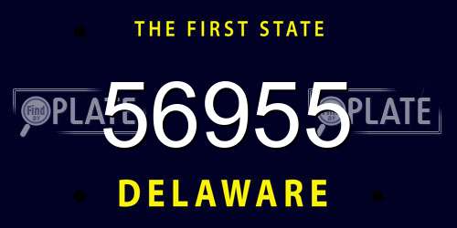 56955 Delaware License Plate