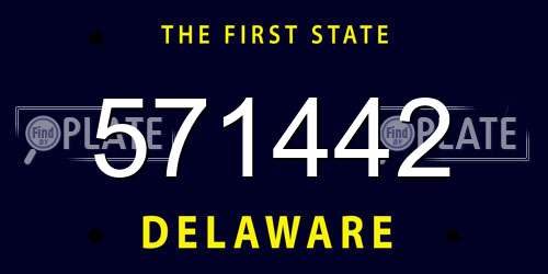 571442 Delaware License Plate