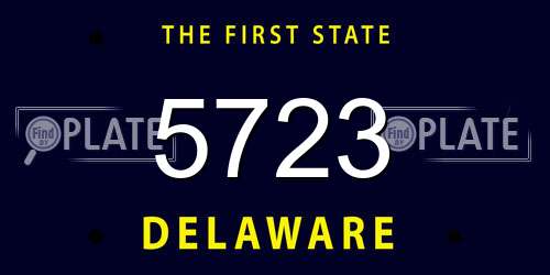 5723 Delaware License Plate
