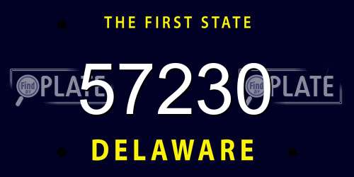57230 Delaware License Plate