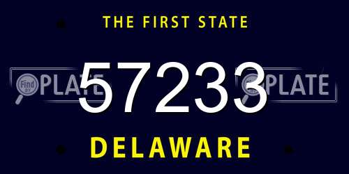 57233 Delaware License Plate