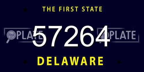57264 Delaware License Plate