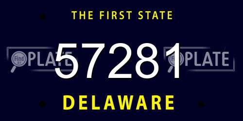 57281 Delaware License Plate