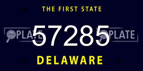 57285 Delaware License Plate