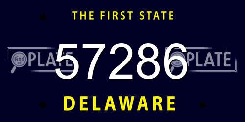 57286 Delaware License Plate