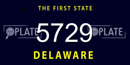 5729 Delaware License Plate