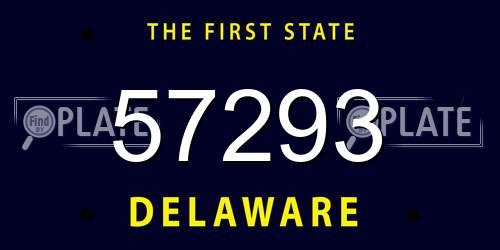 57293 Delaware License Plate