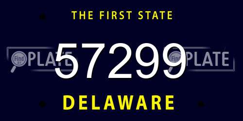 57299 Delaware License Plate