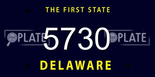 5730 Delaware License Plate