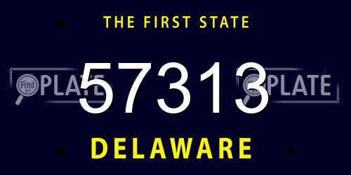 57313 Delaware License Plate