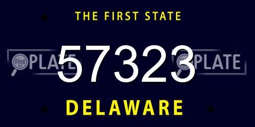 57323 Delaware License Plate