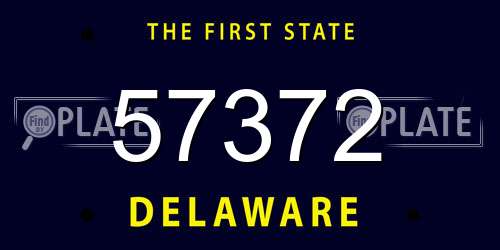57372 Delaware License Plate
