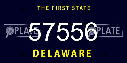 57556 Delaware License Plate