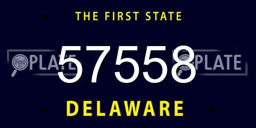 57558 Delaware License Plate