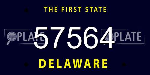57564 Delaware License Plate