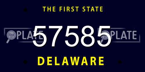 57585 Delaware License Plate