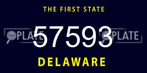 57593 Delaware License Plate