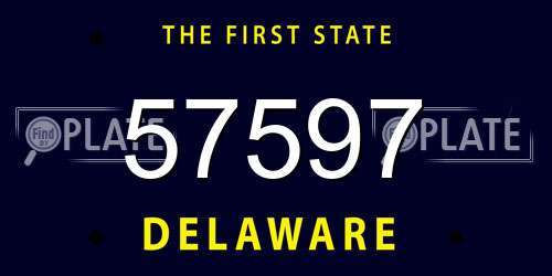 57597 Delaware License Plate
