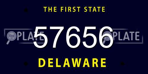 57656 Delaware License Plate