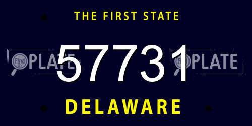 57731 Delaware License Plate