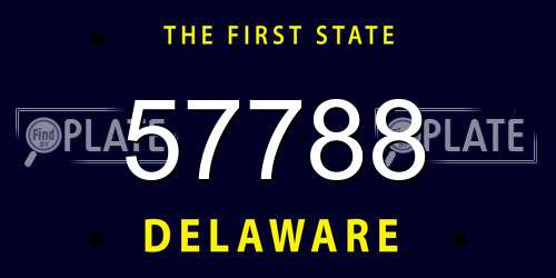57788 Delaware License Plate