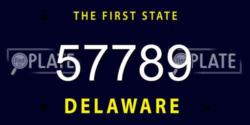 57789 Delaware License Plate