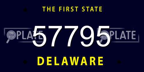 57795 Delaware License Plate