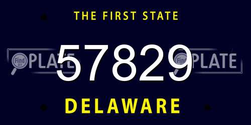 57829 Delaware License Plate