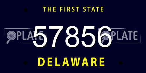 57856 Delaware License Plate