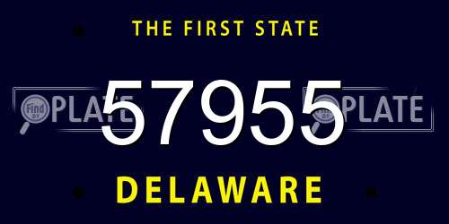 57955 Delaware License Plate