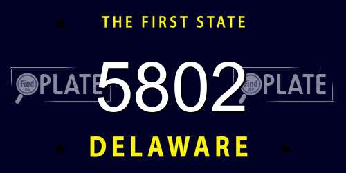 5802 Delaware License Plate