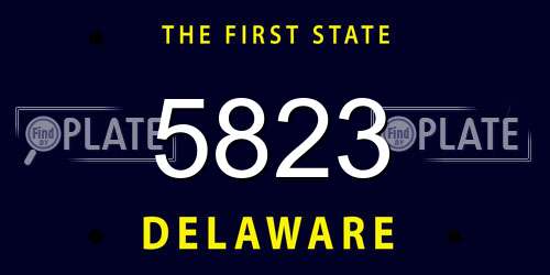 5823 Delaware License Plate