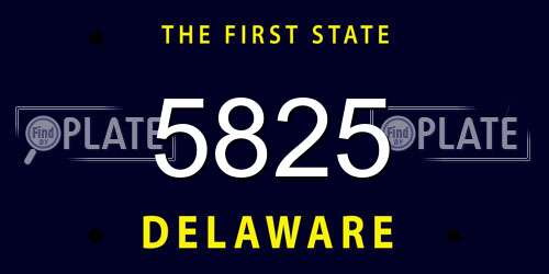 5825 Delaware License Plate