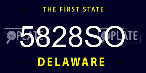 5828SO Delaware License Plate