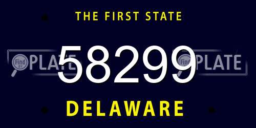 58299 Delaware License Plate