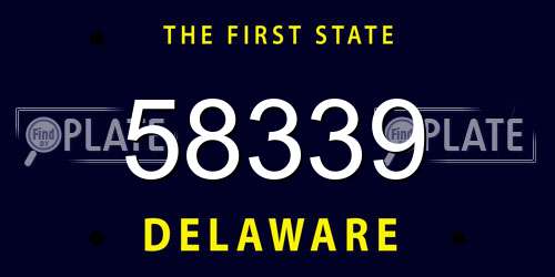 58339 Delaware License Plate