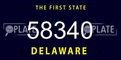 58340 Delaware License Plate