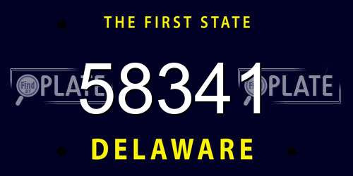 58341 Delaware License Plate